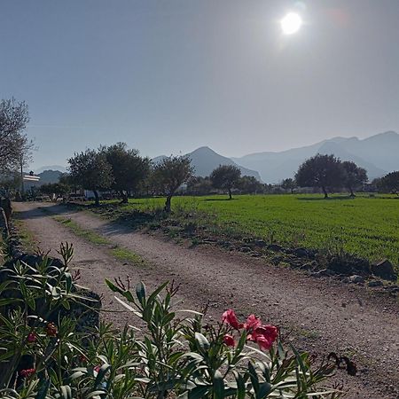 Agriturismo Sa Murta Dorgali Bagian luar foto