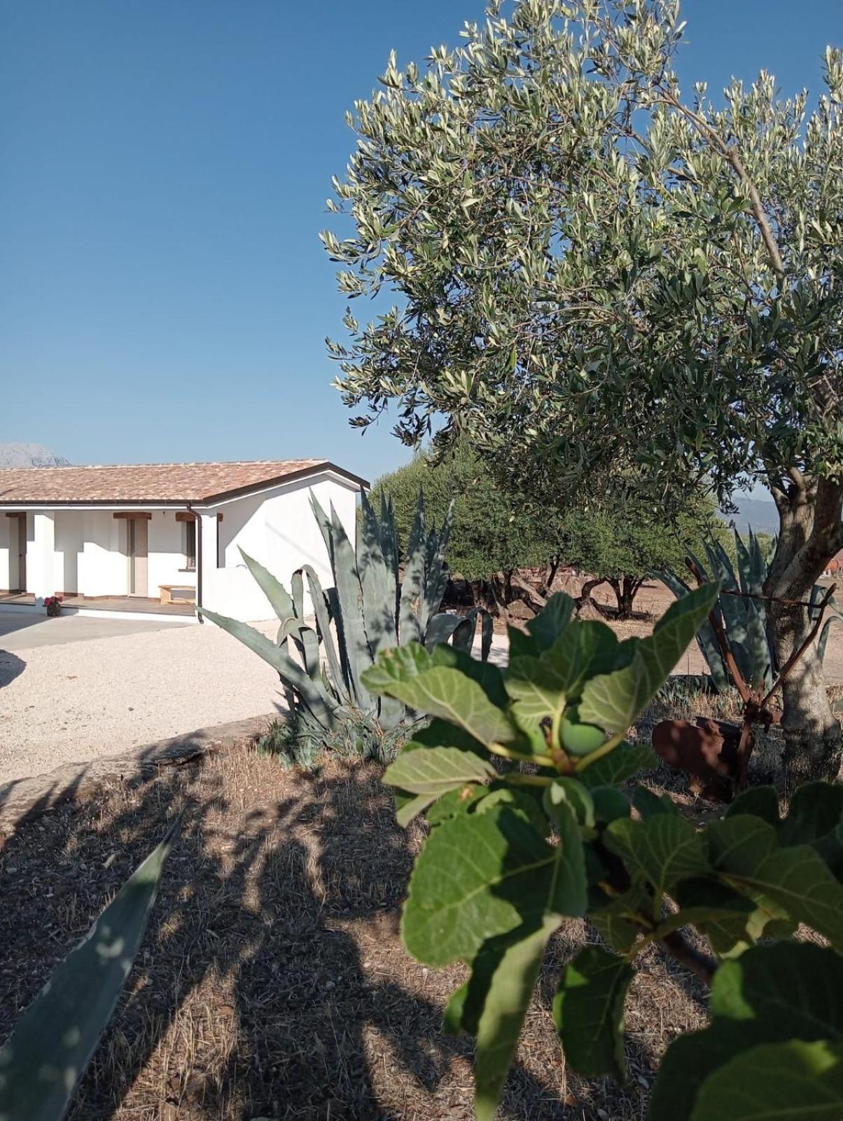 Agriturismo Sa Murta Dorgali Bagian luar foto