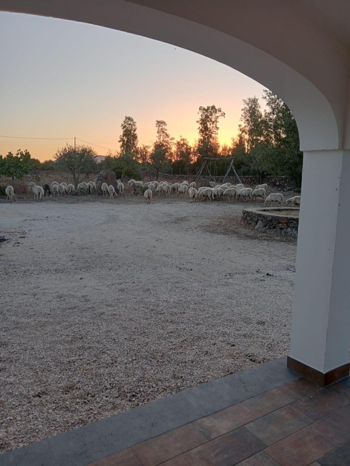 Agriturismo Sa Murta Dorgali Bagian luar foto