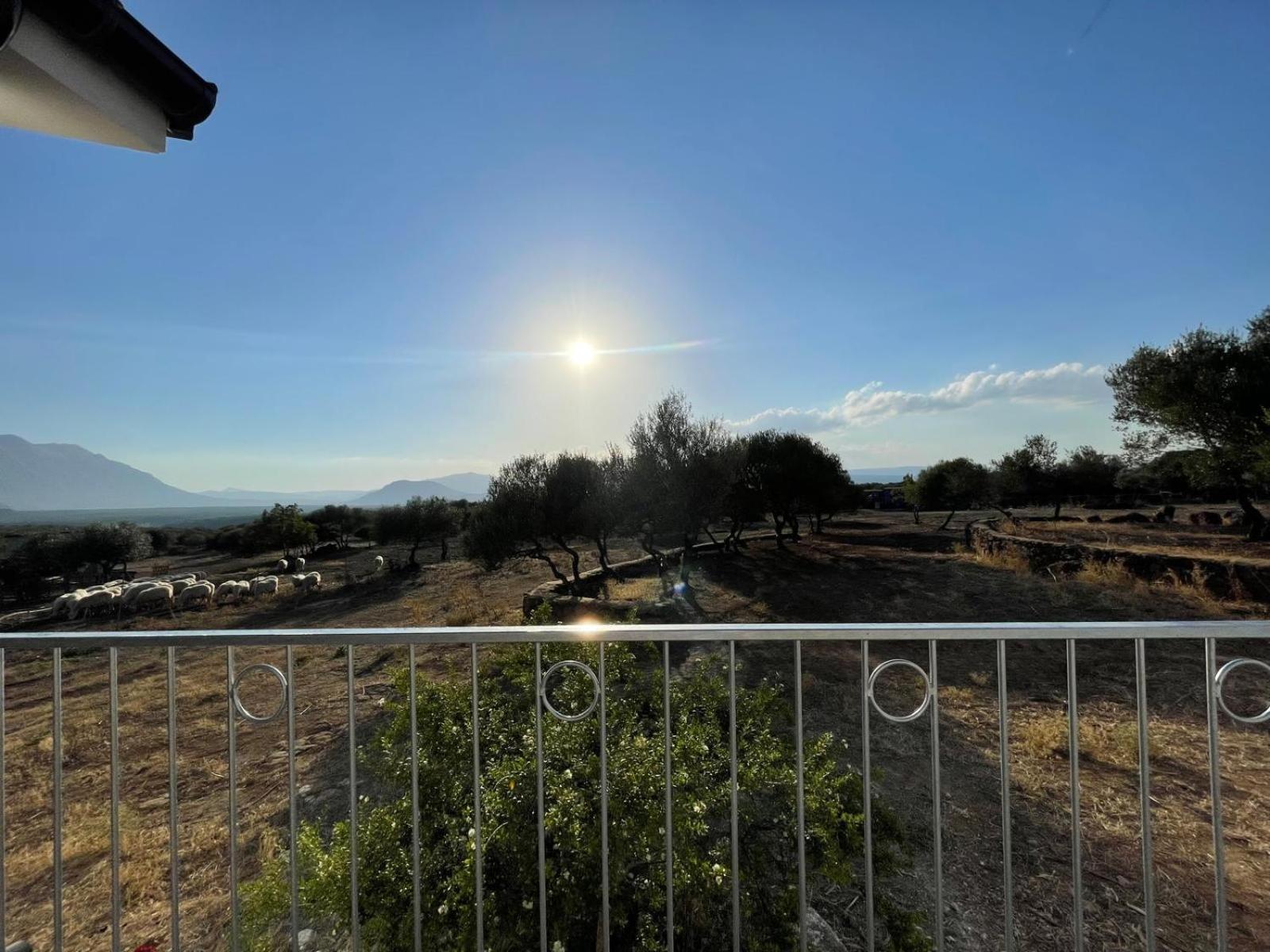 Agriturismo Sa Murta Dorgali Bagian luar foto