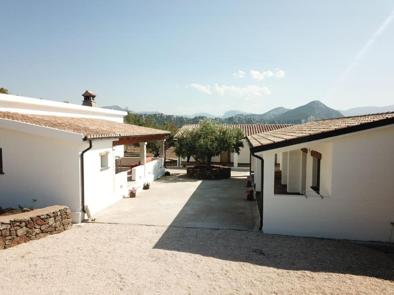 Agriturismo Sa Murta Dorgali Bagian luar foto