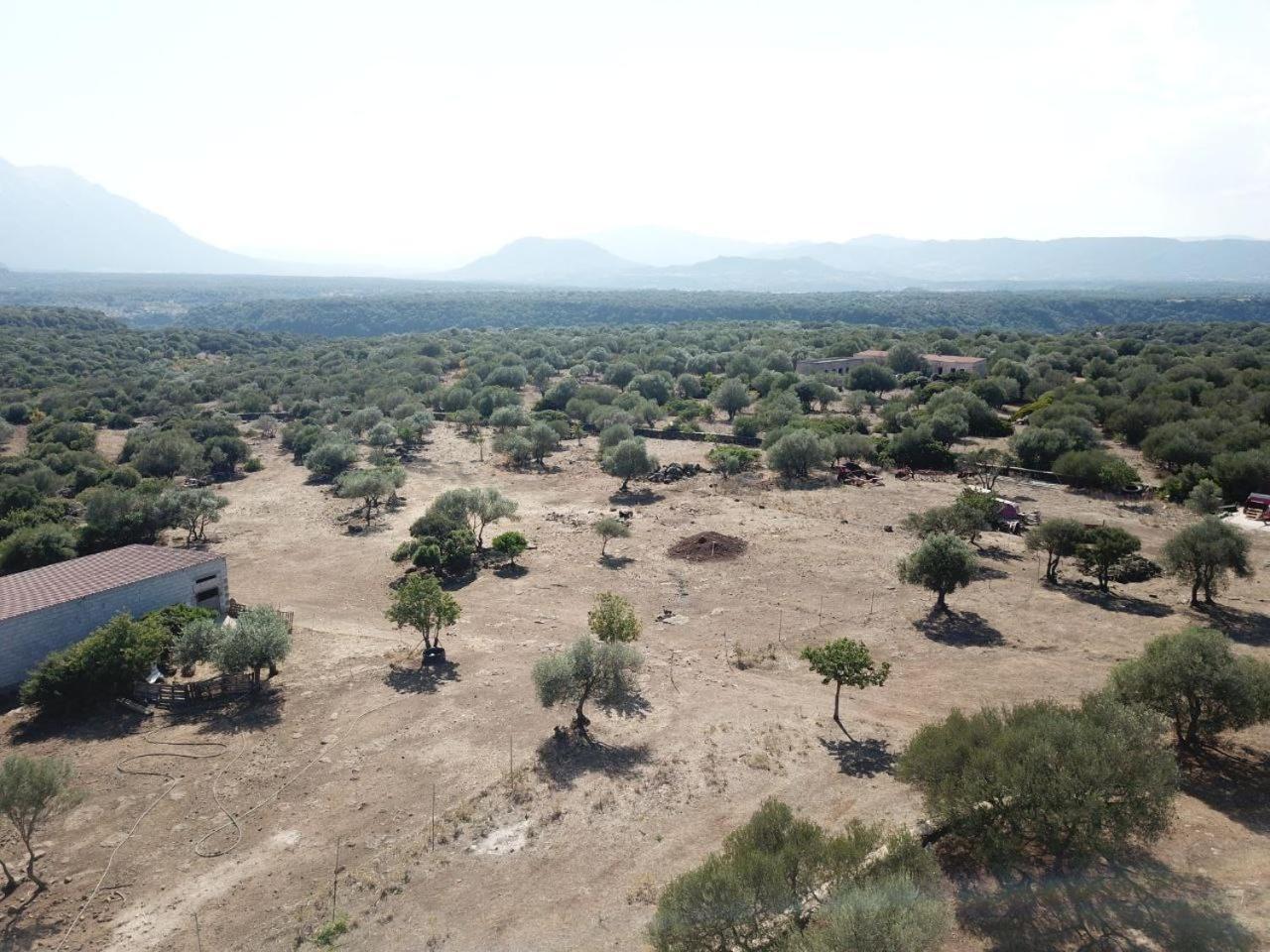 Agriturismo Sa Murta Dorgali Bagian luar foto