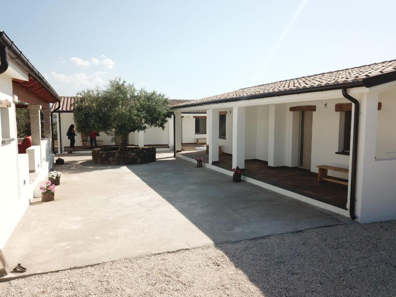Agriturismo Sa Murta Dorgali Bagian luar foto