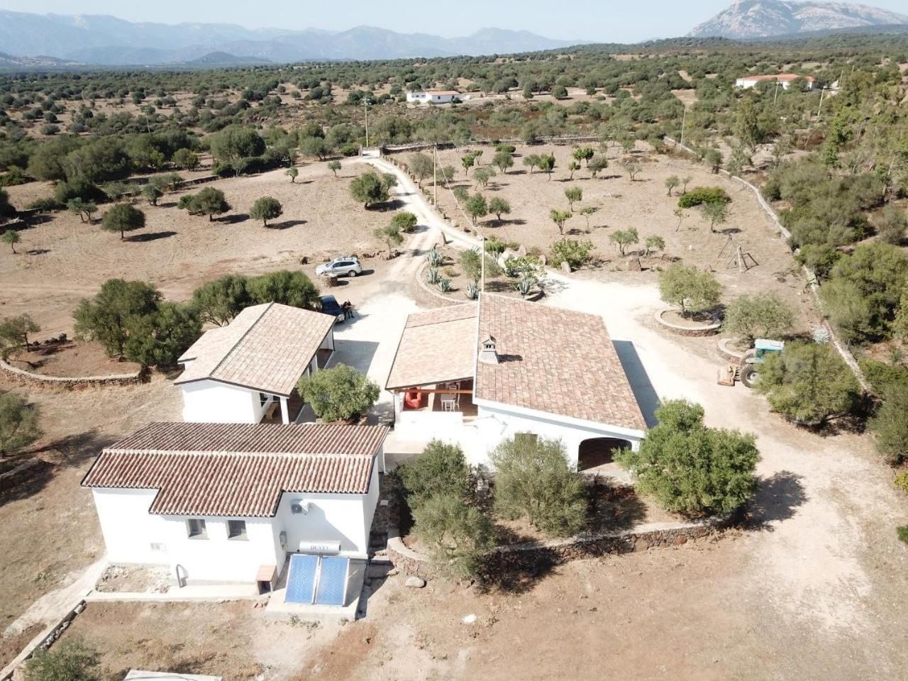 Agriturismo Sa Murta Dorgali Bagian luar foto