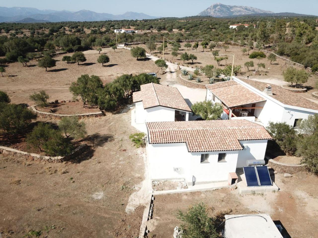 Agriturismo Sa Murta Dorgali Bagian luar foto