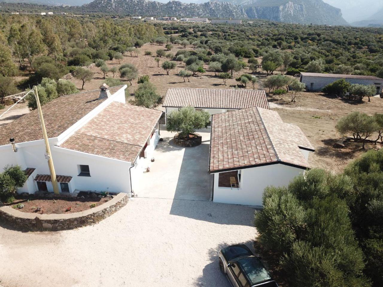 Agriturismo Sa Murta Dorgali Bagian luar foto