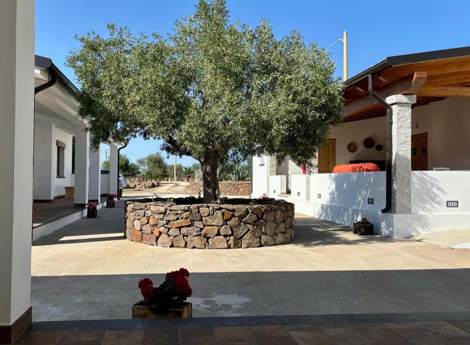 Agriturismo Sa Murta Dorgali Bagian luar foto