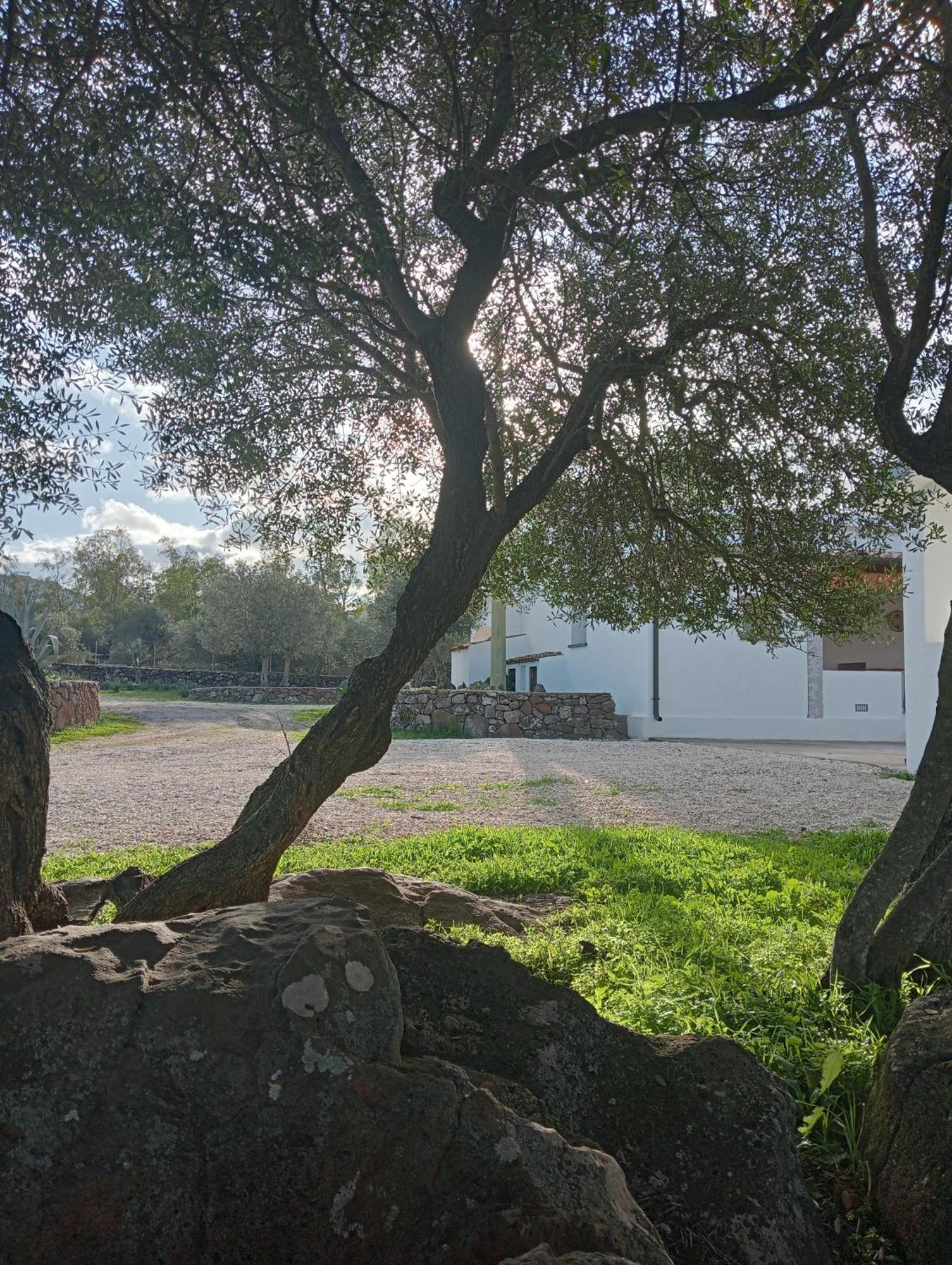 Agriturismo Sa Murta Dorgali Bagian luar foto