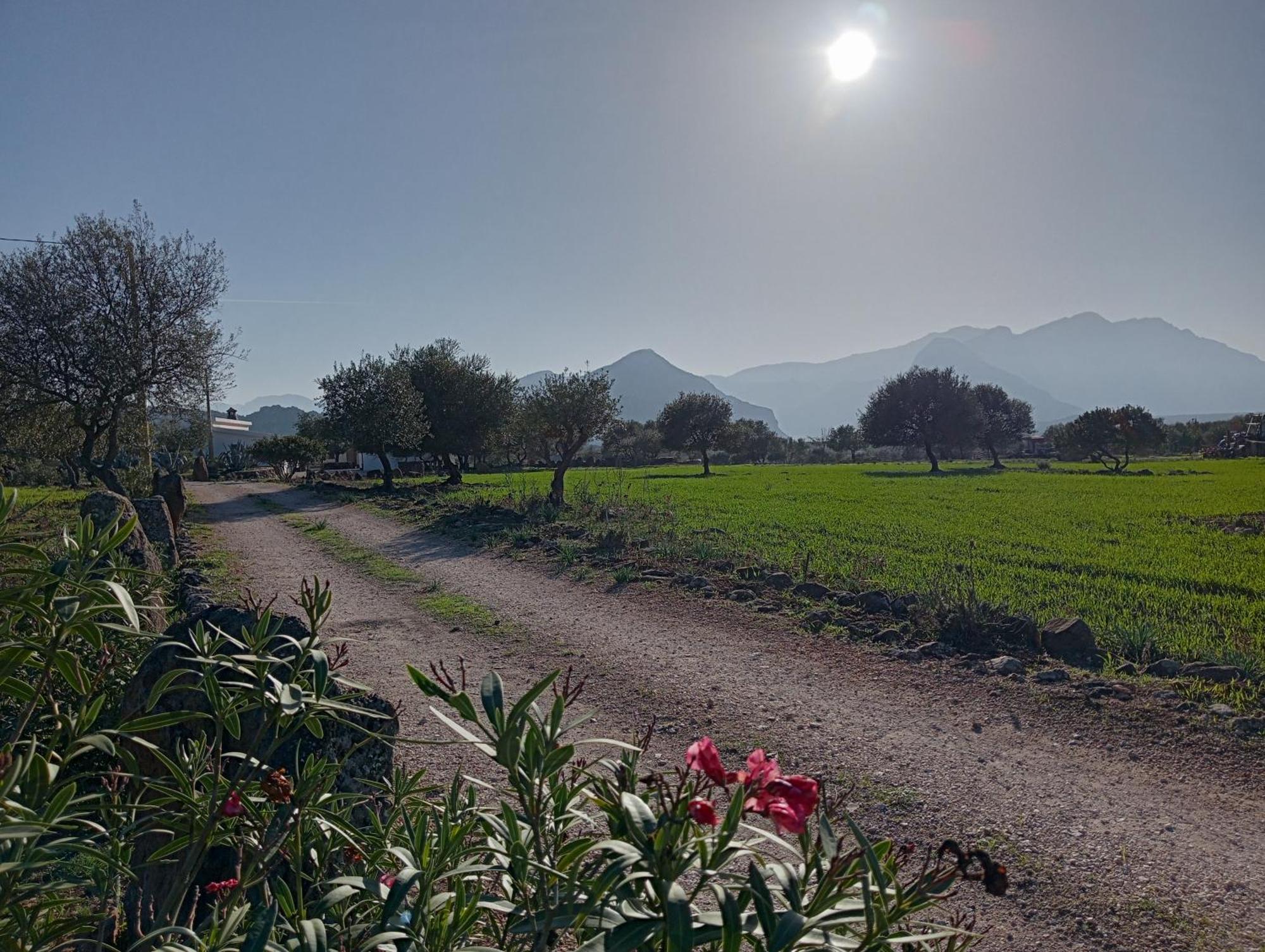 Agriturismo Sa Murta Dorgali Bagian luar foto