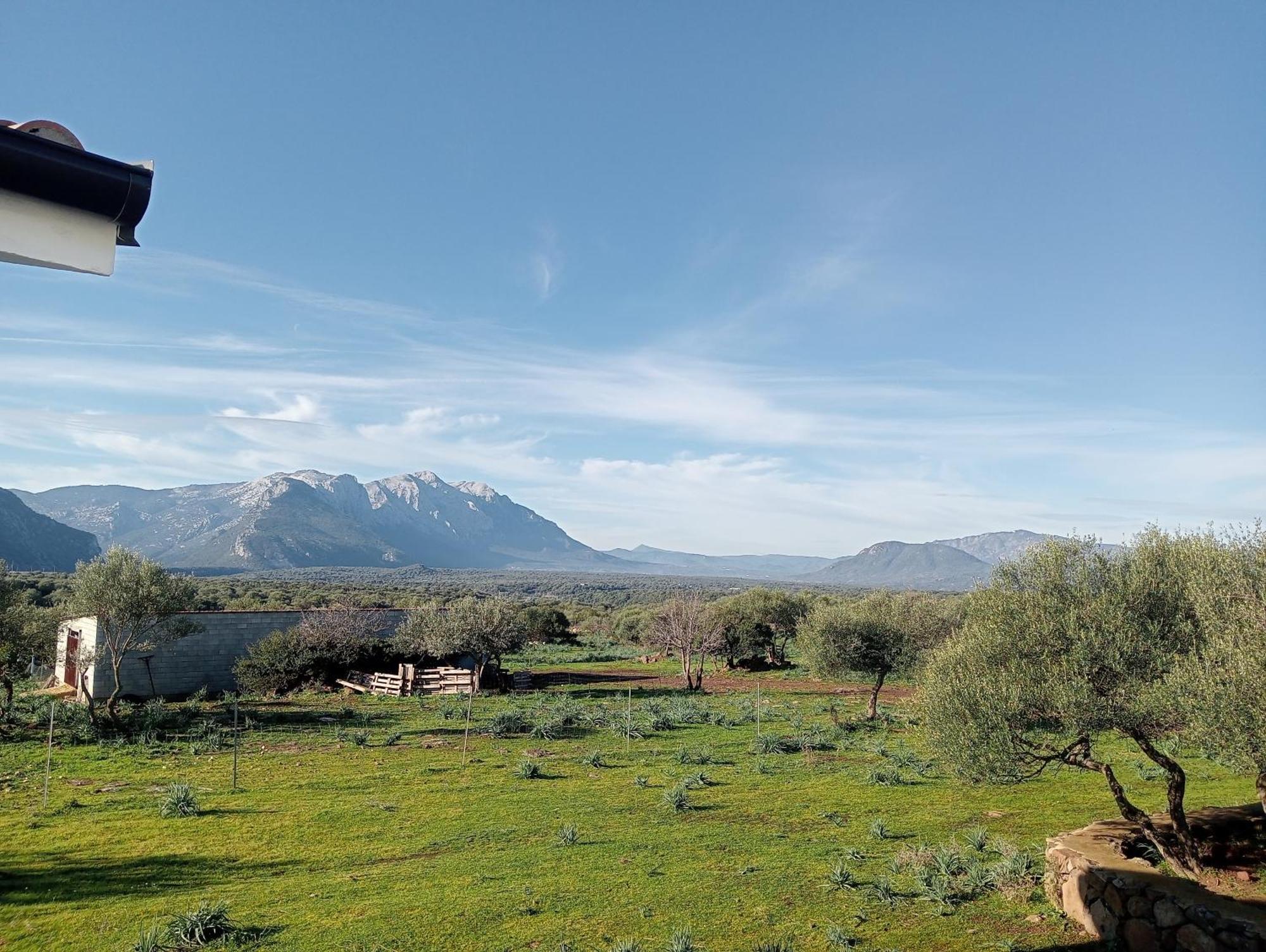 Agriturismo Sa Murta Dorgali Bagian luar foto