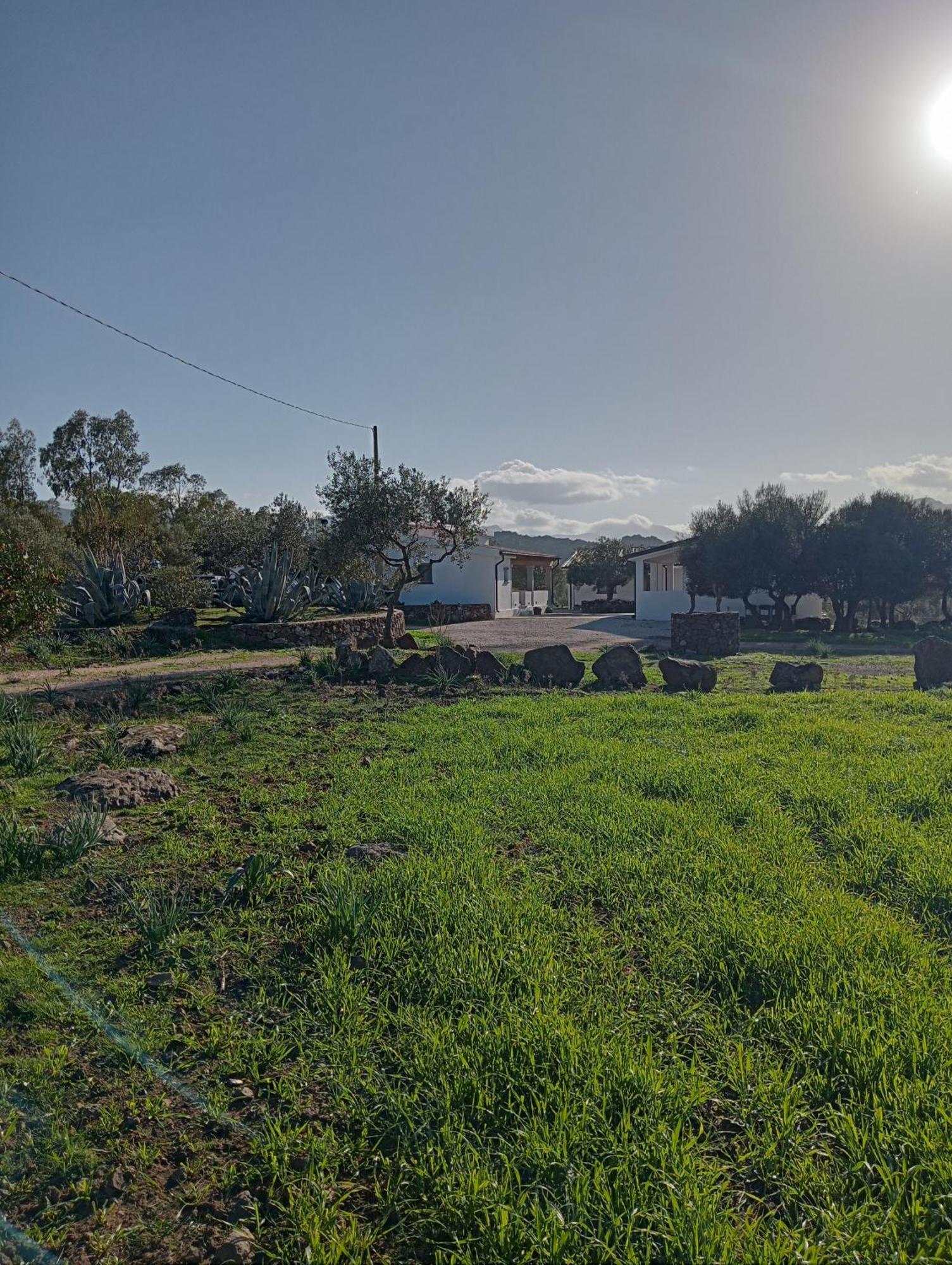 Agriturismo Sa Murta Dorgali Bagian luar foto